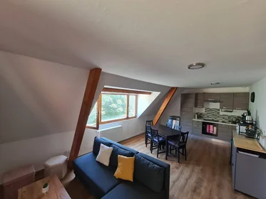 Private room at Mulhouse, 68100, image 1 of 10