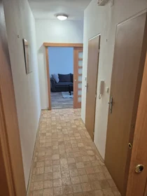 Alojamiento entero en Výškovická 2553/94, imagen 9 de 9