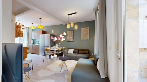Stanza privata in 53 Rue de la Réole, 33800 Bordeaux, France, immagine 17 di 18