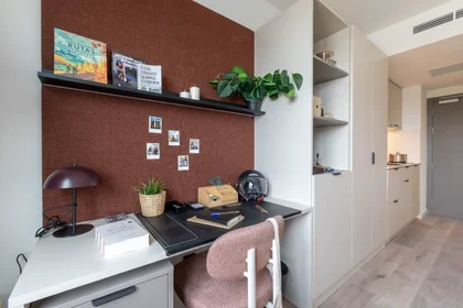 Studio in residence at Carretera de Colmenar a Alcobendas km 0,500. Cp:28049 Madrid , image 4 of 23