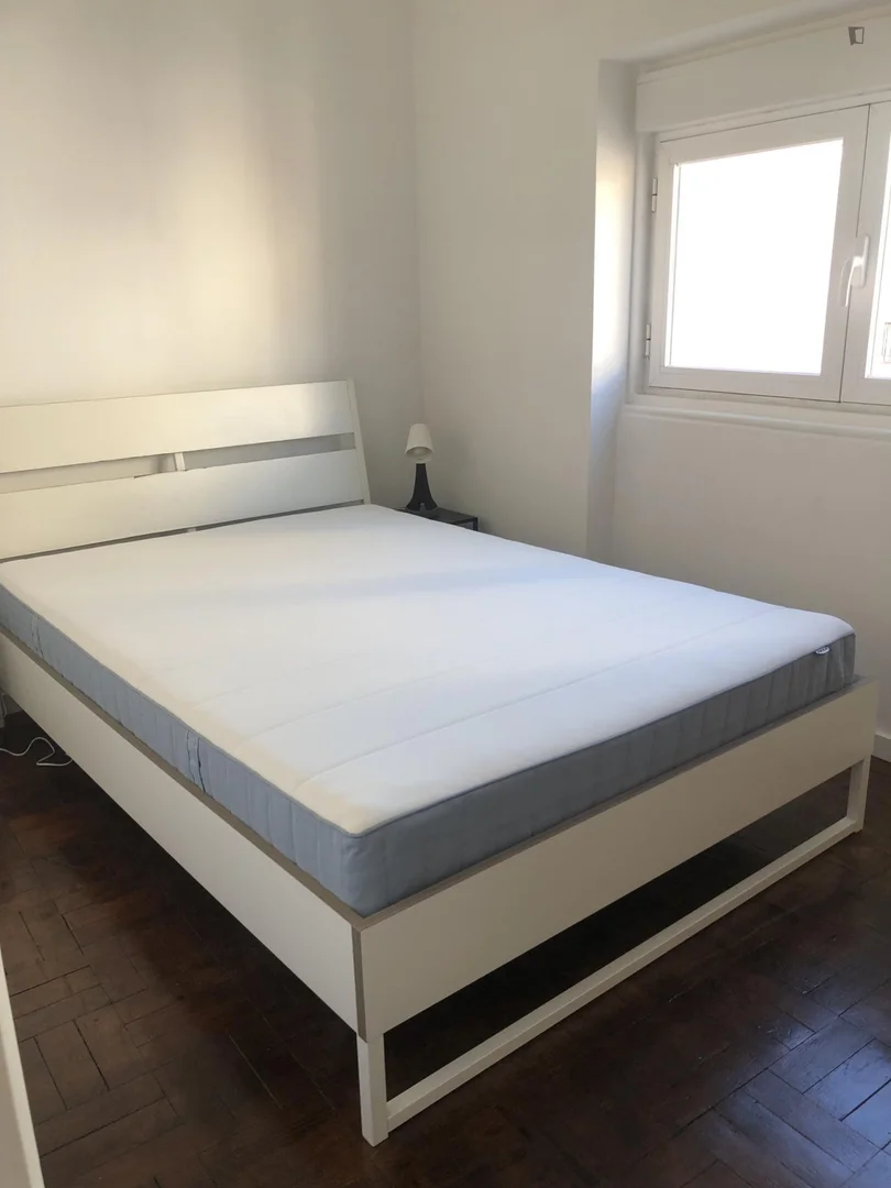 Minimalistisches Studentenstudio in  mit effizientem Grundriss