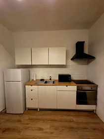 Private room at Roubaix, 59100, image 24 of 25