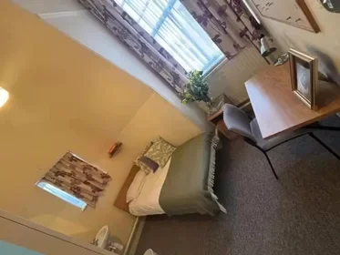 Quarto privado em Bremner Rd, South Kensington, Gore SW7 2QT, United Kingdom, imagem 46 de 49