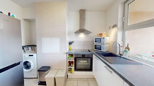 Privatzimmer in der 9 Rue Alphonse Laveran, bild 35 von 46