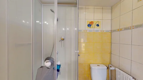 Privatzimmer in der 9 Rue Alphonse Laveran, bild 39 von 46