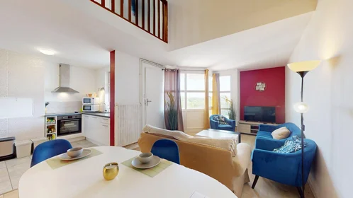 Prywatny pokój 9 Rue Alphonse Laveran, obraz 7 46