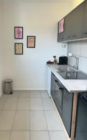 Entire apartment at Weidmanngasse 8, image 2 of 12