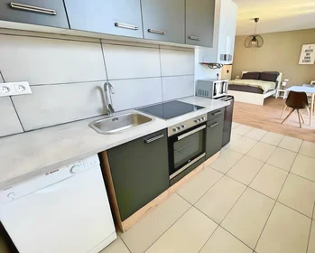 Entire apartment at Weidmanngasse 8, image 11 of 12