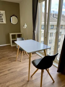 Entire apartment at Weidmanngasse 8, image 12 of 12