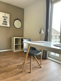 Entire apartment at Weidmanngasse 8, image 4 of 12