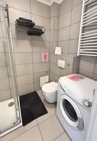 Entire apartment at Weidmanngasse 8, image 7 of 12
