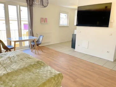 Entire apartment at Weidmanngasse 8, image 10 of 12