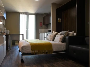 Room for rent in a shared flat in {area}