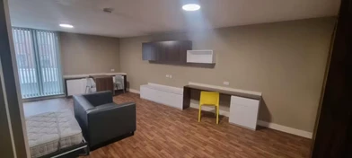 Private room at Lower Gill St, Liverpool, L3 5BB, United Kingdom, image 18 of 22