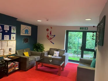 Private room at Parham Rd, Canterbury CT1 1YN, United Kingdom, image 19 of 49