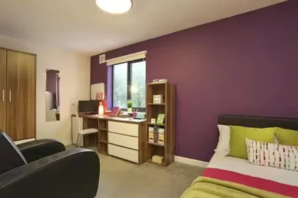 Private room at Parham Rd, Canterbury CT1 1YN, United Kingdom, image 28 of 49