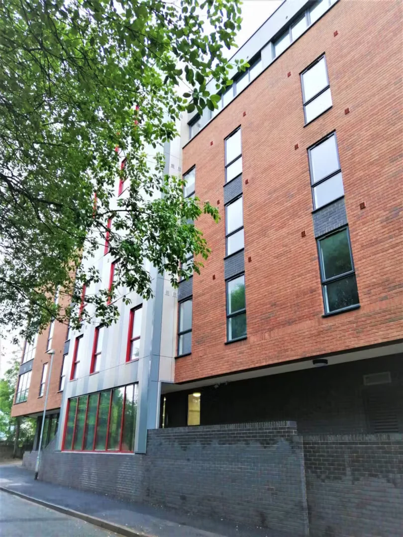 Confortevole e spaziosa stanza per studenti in 