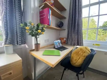 Özel oda konumu Fenham Hall Drive, Newcastle, NE4 9YH, 30 81 görüntüsü