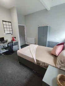 Özel oda konumu Fenham Hall Drive, Newcastle, NE4 9YH, 38 81 görüntüsü