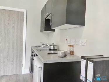 Özel oda konumu Fenham Hall Drive, Newcastle, NE4 9YH, 40 81 görüntüsü