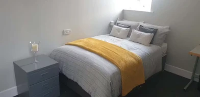Özel oda konumu Fenham Hall Drive, Newcastle, NE4 9YH, 48 81 görüntüsü