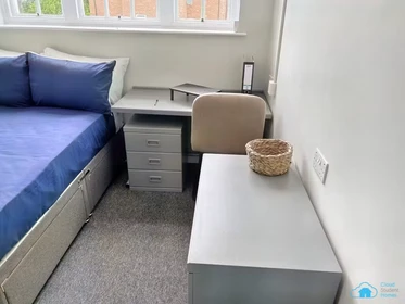 Özel oda konumu Fenham Hall Drive, Newcastle, NE4 9YH, 53 81 görüntüsü