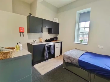 Özel oda konumu Fenham Hall Drive, Newcastle, NE4 9YH, 57 81 görüntüsü