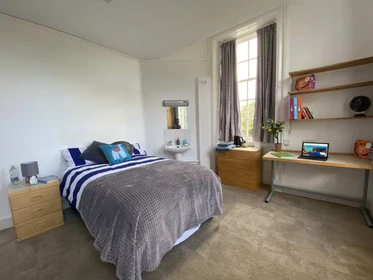 Özel oda konumu Fenham Hall Drive, Newcastle, NE4 9YH, 74 81 görüntüsü