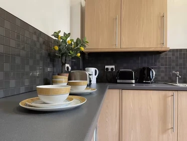 Özel oda konumu Fenham Hall Drive, Newcastle, NE4 9YH, 81 81 görüntüsü