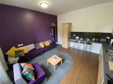 Stanza privata in Fenham Hall Drive, Newcastle, NE4 9YH, immagine 20 di 49