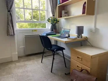 Stanza privata in Fenham Hall Drive, Newcastle, NE4 9YH, immagine 22 di 49