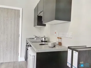 Stanza privata in Fenham Hall Drive, Newcastle, NE4 9YH, immagine 8 di 49