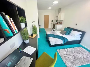 Chambre privée à Egerton St, Broomhall, Sheffield S1 4JX, United Kingdom, image 18 de 49