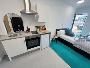 Chambre privée à Egerton St, Broomhall, Sheffield S1 4JX, United Kingdom, image 21 de 49
