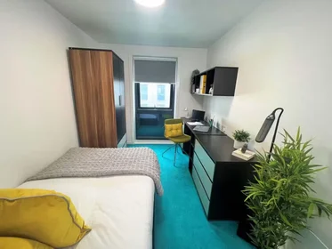Chambre privée à Egerton St, Broomhall, Sheffield S1 4JX, United Kingdom, image 45 de 49