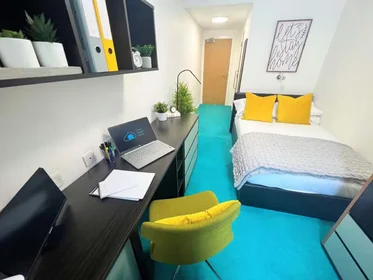 Chambre privée à Egerton St, Broomhall, Sheffield S1 4JX, United Kingdom, image 46 de 49