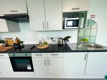 Chambre privée à Egerton St, Broomhall, Sheffield S1 4JX, United Kingdom, image 49 de 49