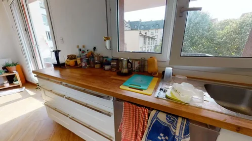 Gesamte Unterkunft in der Rue de la Broque, Montagne Verte, bild 4 von 10