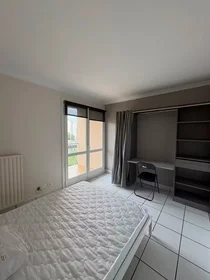 Stanza privata in Rue Professeur Gaston Astre, Mirail-Reynerie-Bellefontaine, immagine 1 di 10