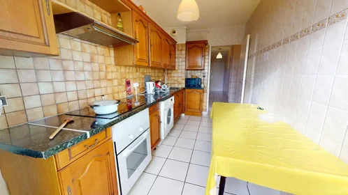 Stanza privata in Rue Professeur Gaston Astre, Mirail-Reynerie-Bellefontaine, immagine 6 di 10