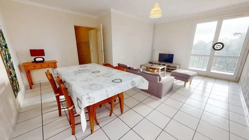 Stanza privata in Rue Professeur Gaston Astre, Mirail-Reynerie-Bellefontaine, immagine 10 di 10