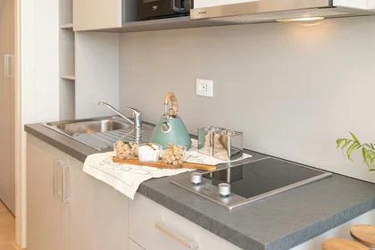 Logement entier à Viale della Toscana , Novoli, image 9 de 10