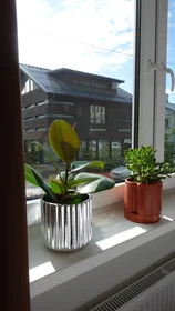 Entire apartment at Kivimurru 13, image 4 of 25