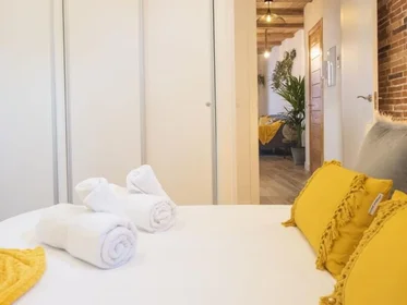 Apartamento inteiro em Calle de las Cordonerias 1, imagem 20 de 25