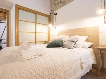 Appartamento intero in Calle Juan Bautista Monegro 4, immagine 15 di 25