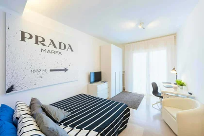 Stanza privata in Via Giosuè Carducci, 45, 30171 Venezia VE, Italia, immagine 1 di 12
