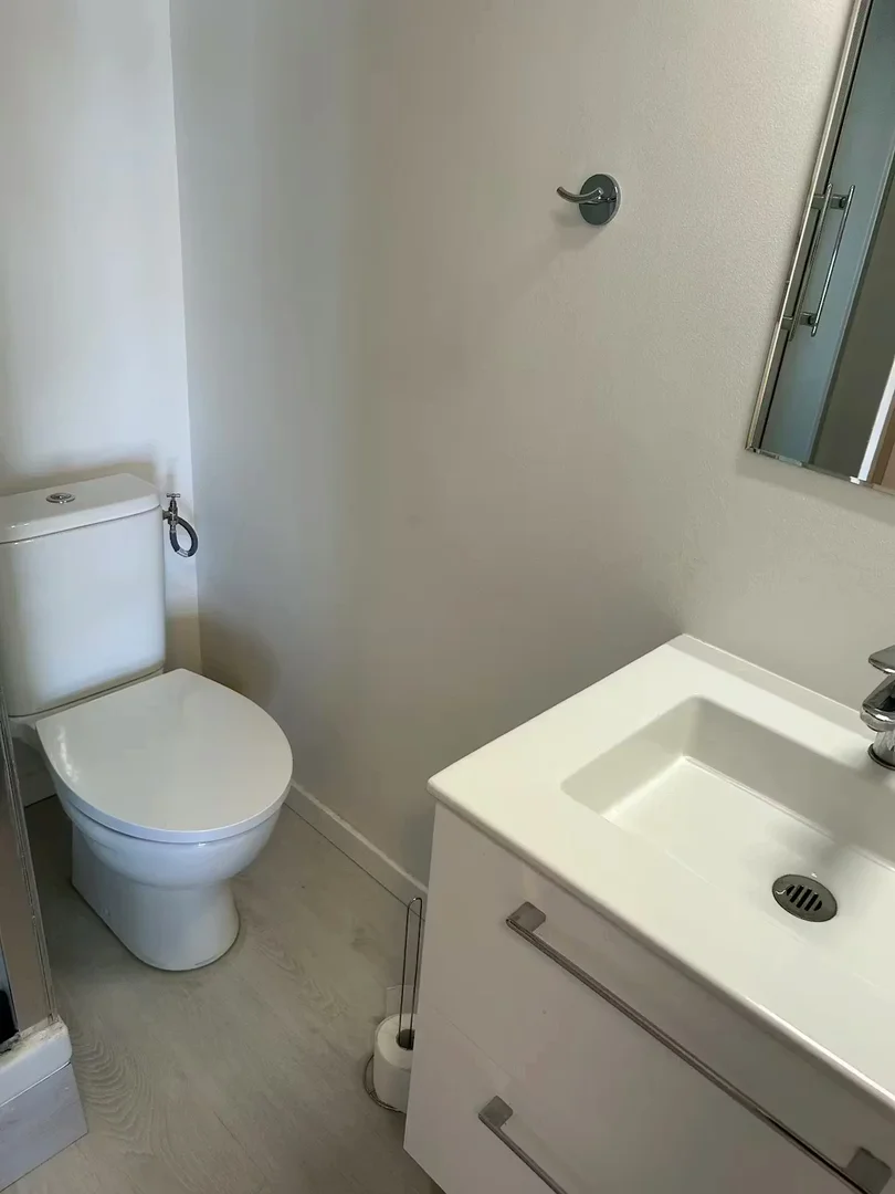 Affordable room for students with ample lighting in 
