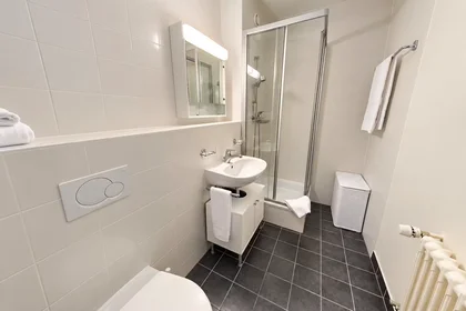 Appartamento intero in Rue Goetz-Monin, Plainpalais, immagine 8 di 8