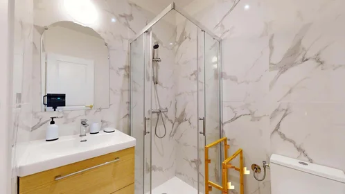 Private room at 194 Rue Pelleport, 33800 Bordeaux, France, image 7 of 15