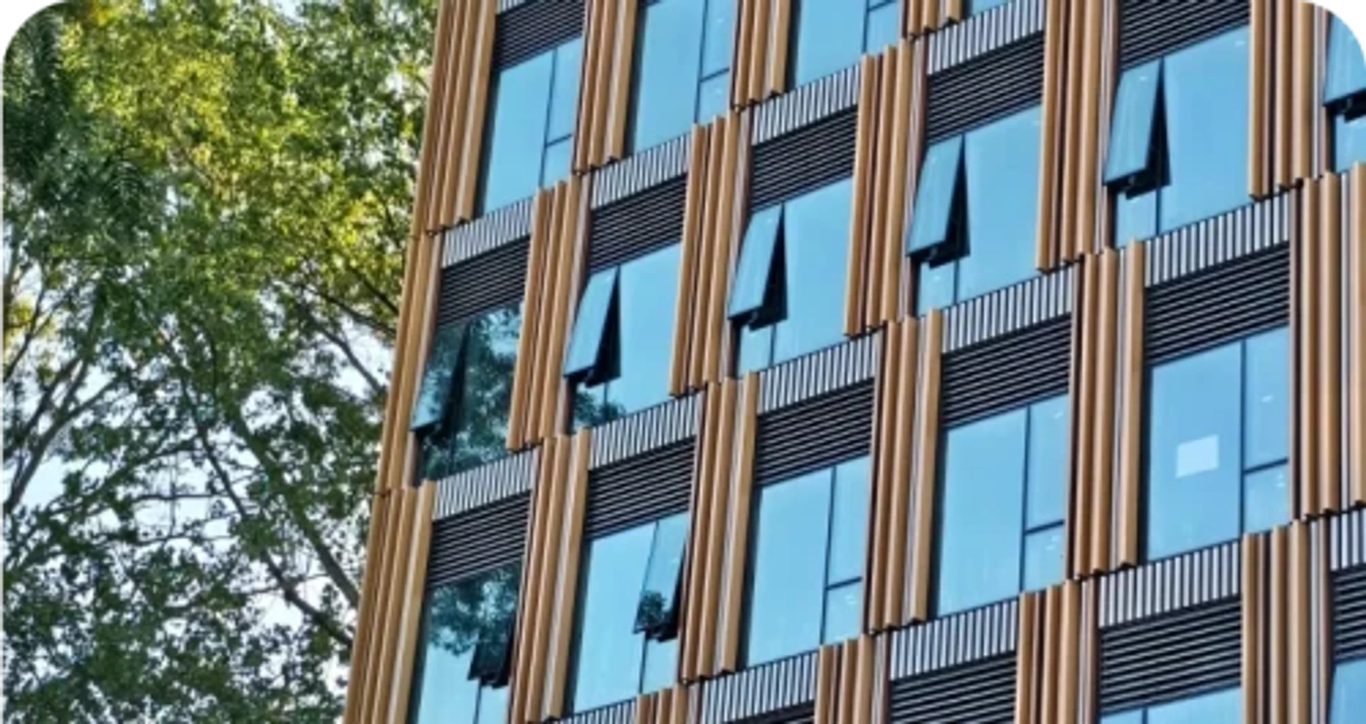 Habitación estudiantil económica cerca del campus en 